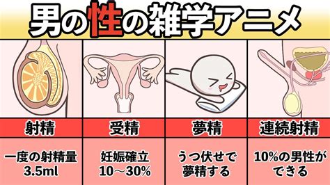 夢精 方法|睡眠中に起こる夢精の原因とメカニズムとは？｜ウーマンエキサ 